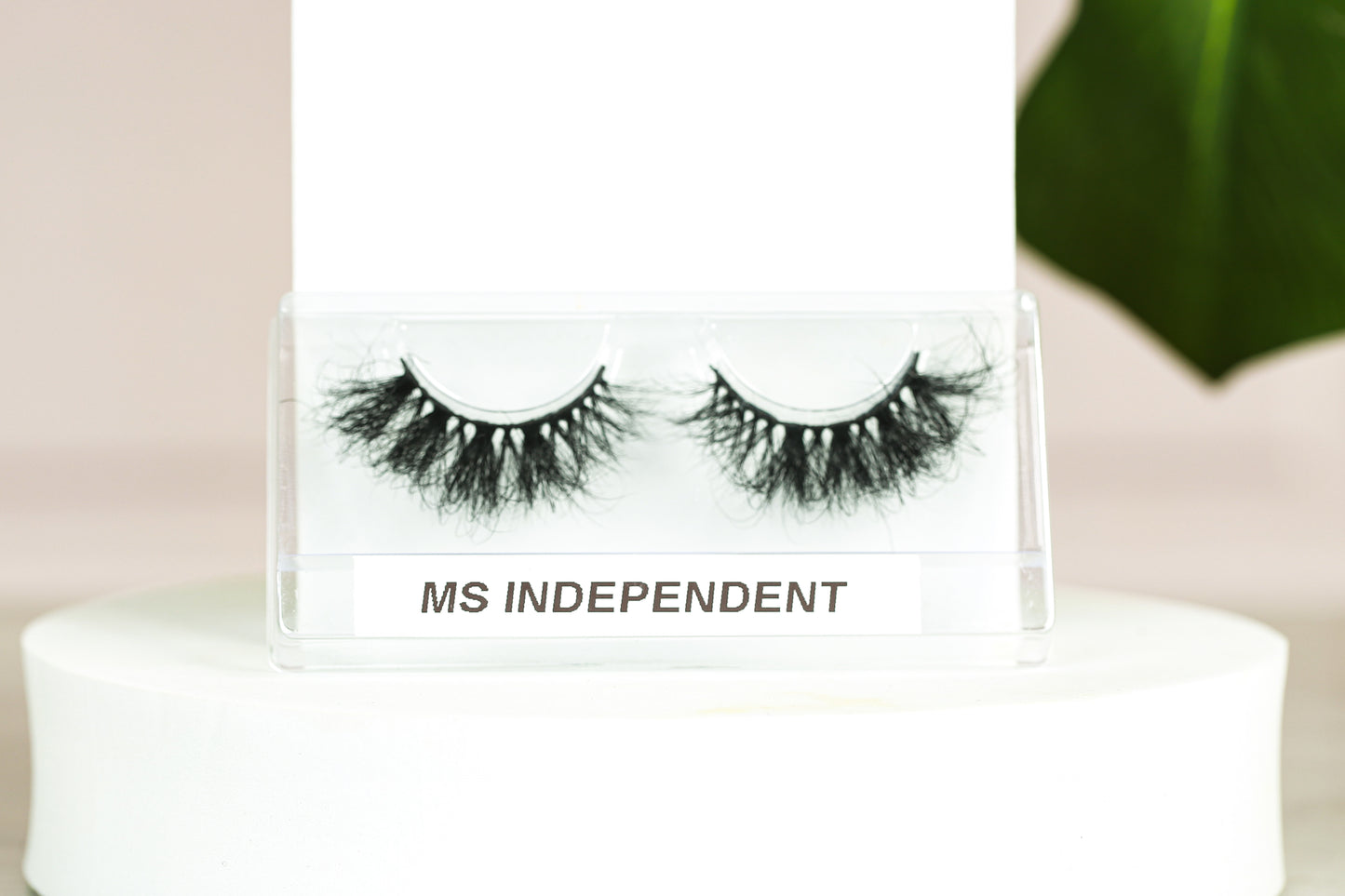 Ms Independent lashes - Magnate Beauty