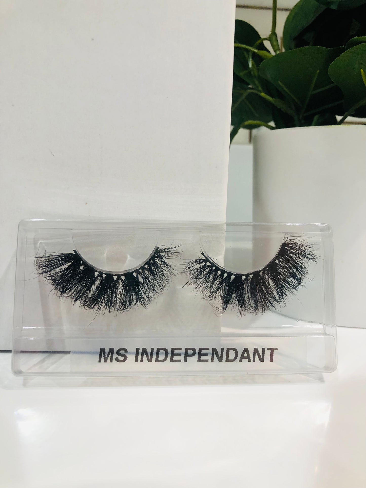 Ms Independent lashes - Magnate Beauty